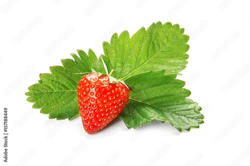 Wall mural Ripe strawberry and leaves on white background