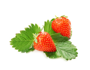 Ripe strawberries and leaves on white background