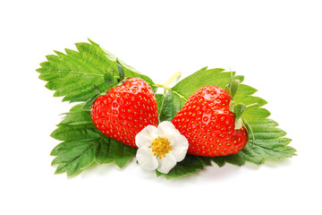 Ripe strawberries, flower and leaves on white background