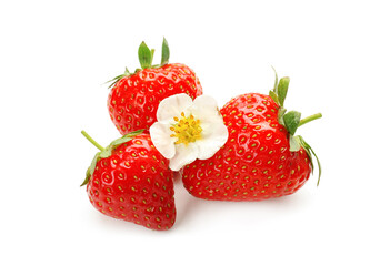 Ripe strawberries and flower on white background