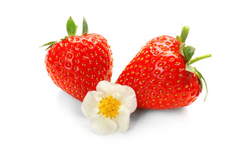 Ripe strawberries and flower on white background