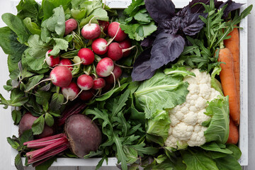 Fresh vegetables and herbs in wooden box