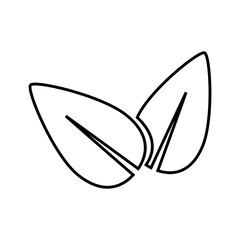 leaves icon over white background. vector illustration