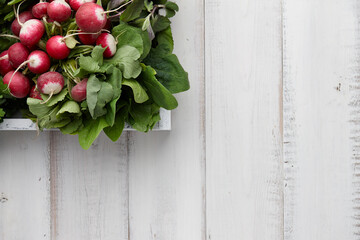 Fresh radish in wooden box