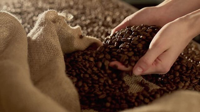 Hands scoop coffee beans in slow motion