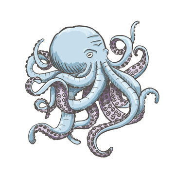 Octopus. Vector vintage illustrations. Isolated on white background.