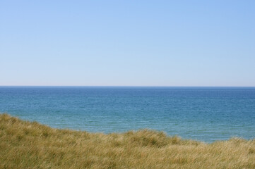 Nordseeküste mit langen Gräsern an einem sonnigen Frühlingstag