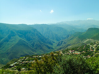 Naklejka premium OLYMPUS DIGITAL CAMERA