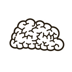 human brain think creativity image vector illustration