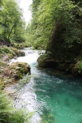 River Radovna flowing through Blejski Vintgar gorge in winter, Slovenia