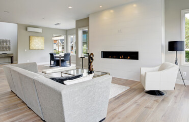 Contemporary style living room