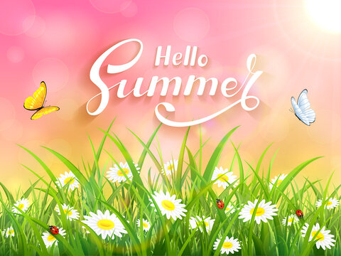 Lettering Hello Summer On Pink Nature Background
