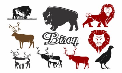 Rare animals that are protected