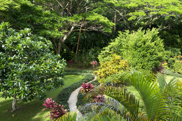 Tropical garden