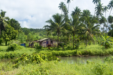 Rustic shack in jungle