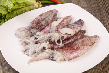 Raw squid