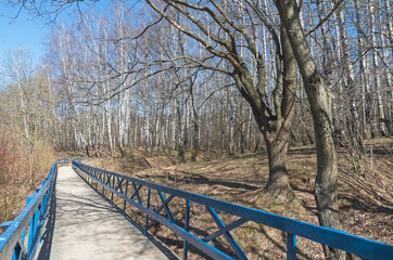 Wooden footbridge over the marshy ravine.