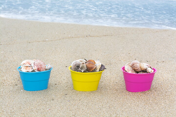 Fototapeta na wymiar Easter baskets with seashells
