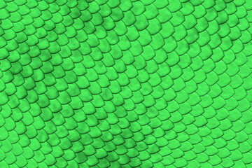 Green reptile skin