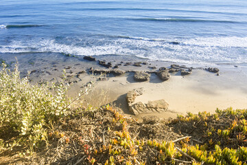 Beach in Santa Barbara