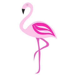 pink flamingo vector illustration on white background