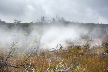 Volcanic steam vents