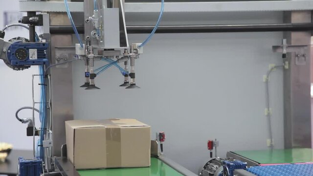 Robotic Arm With Vacuum Suction Handling Box at Factory Line