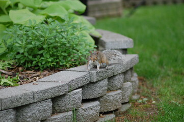 Curiosity meets camera