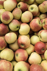 Apples at the fruit market in Gdansk/ Poland
