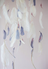 Decorations with feathers