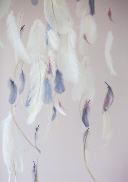 Decorations with feathers