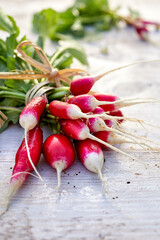 Bunch of fresh organic radishes on a white wooden table