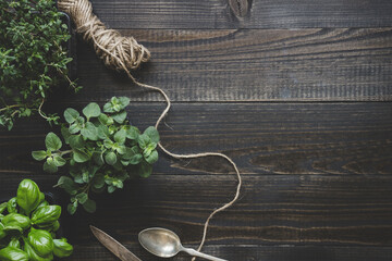 Fresh herbs on the dark wooden table, top view. Rustic background with copy space