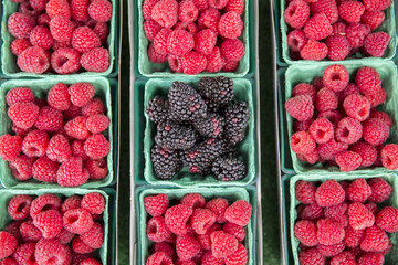 Fresh berries