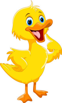 Cute duck cartoon