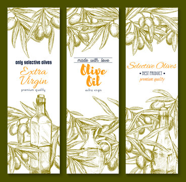 Olive oil sketch banner set for food design