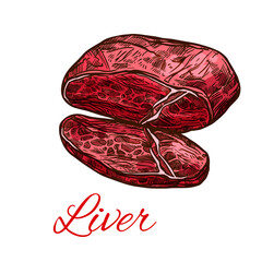 Meat liver, fresh offals sketch for food design