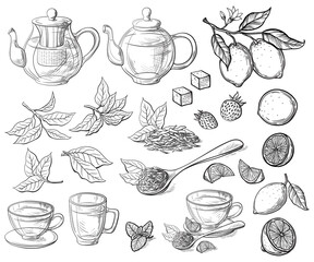 Collection of tea leaves. Green, black, Pekoe tea in graphic style, hand-drawn vector illustration