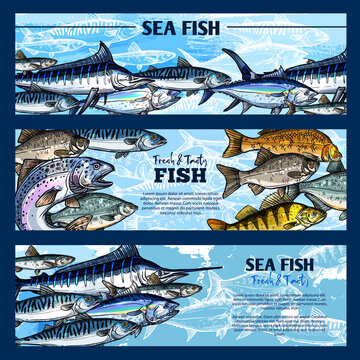 Fishing banner with fisherman tackle and fish Stock Vector by ©Seamartini  194068814