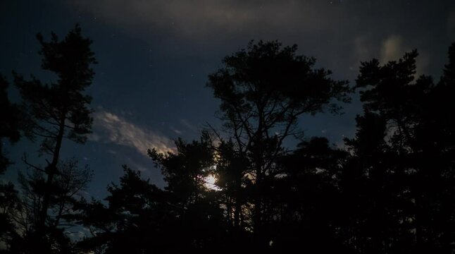 月は木陰に_1_シュールな雲と月_隠岐の島_白島崎_タイムラプス