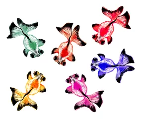 Fototapete Schmetterlinge Alte chinesische traditionelle Pinselhandgemachte Tuschemalerei - Goldfisch