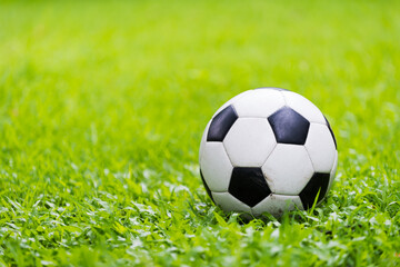 Fototapeta premium football on green grass background