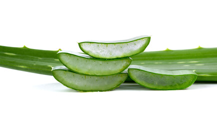 aloe vera fresh leaf. isolated over white