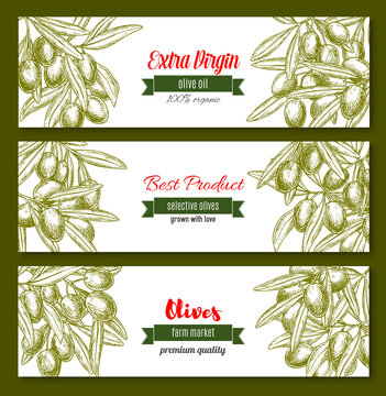 Vector banners for extra virgin olive oil product