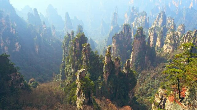 Zhangjiajie National Park, China. Avatar mountains