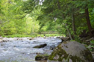 Bridge over river in woods