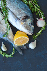 Fresh raw dorado fish with rosemary, garlic and lemon on a black slate background. Selective focus. Overhead view.