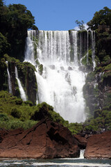 Fototapeta premium Iguazu Falls