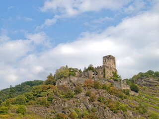Fototapeta na wymiar The castle of Rhine river's side at Germany