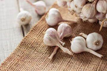 Garlic on sack.